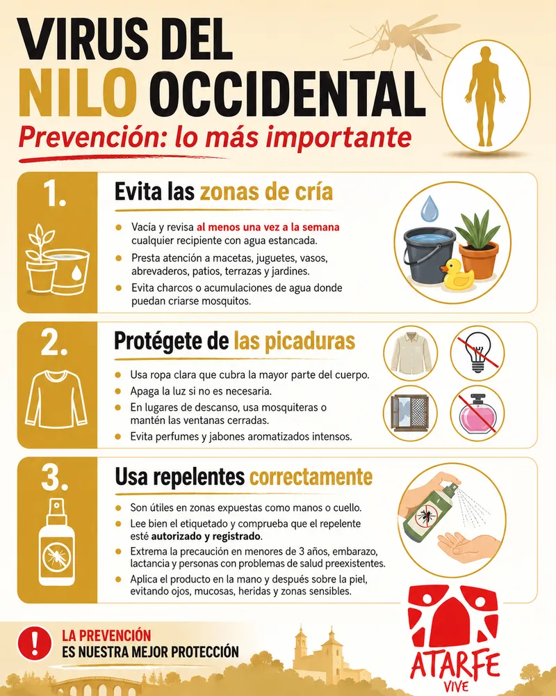 Atarfe en alerta por el Virus del Nilo Occidental: refuerzan medidas de control y prevención