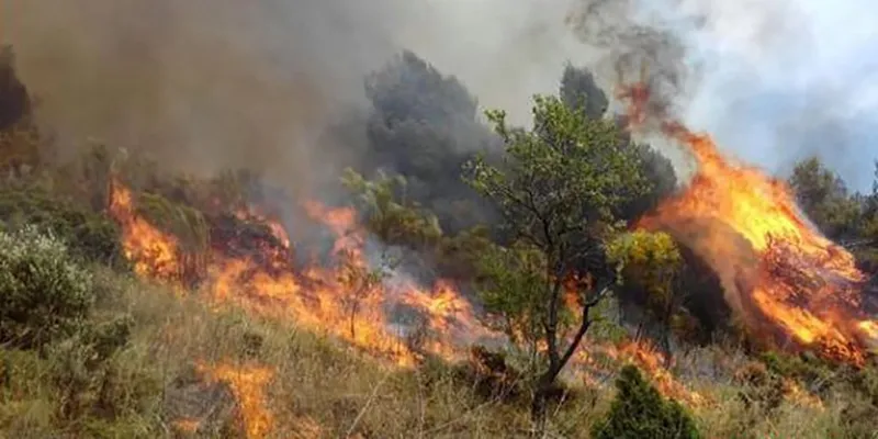Benimeli informa sobre medidas de prevención de incendios para Semana Santa