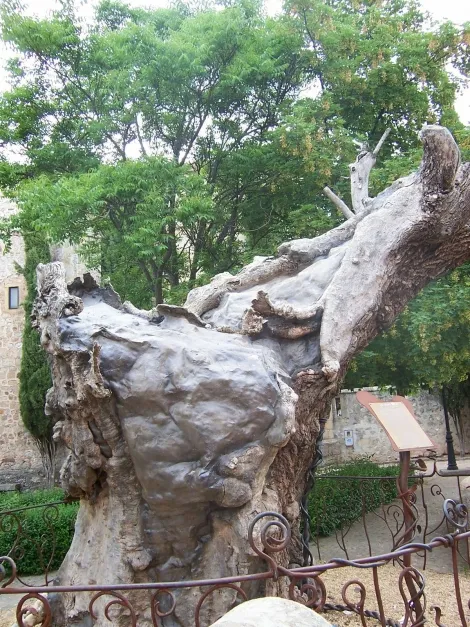 El Parque de los Príncipes de Sax renace como un espacio de ocio y paseo