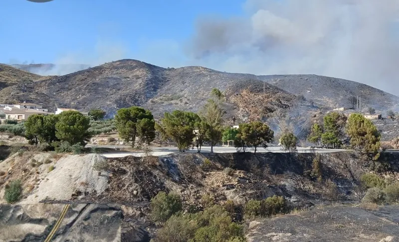 El Plan Infoca se eleva a fase de emergencia por un incendio en Los Gallardos (Almería)