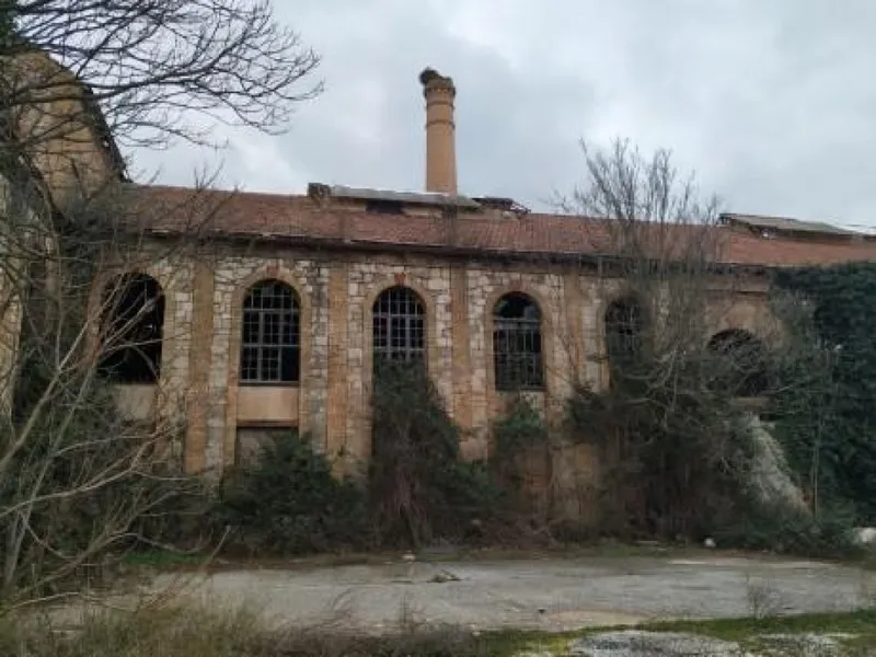 El Supremo anula un decreto y reabre la puerta a la Universidad Niccolo Cusano en Calatayud