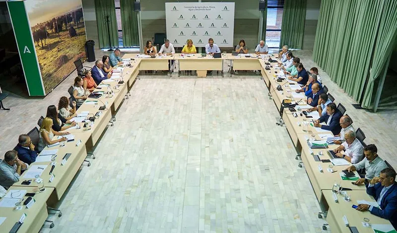 La Junta de Andalucía destina 29 millones de euros a ayudas para pesca y acuicultura en 2026