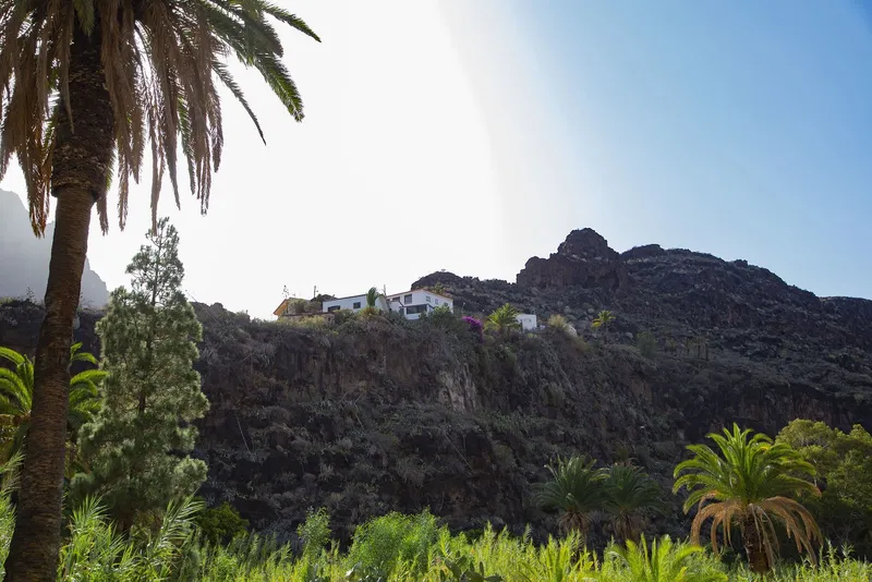 El Barranco de Santiago, un rincón de Alajeró con apenas 60 habitantes