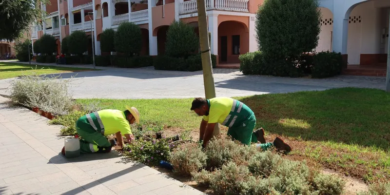 Utrera prepara sus zonas verdes para la Feria de Consolación 2026 con miles de plantas
