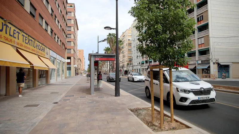 València amplía su arbolado urbano con 644 nuevos árboles en Giorgeta y Pérez Galdós