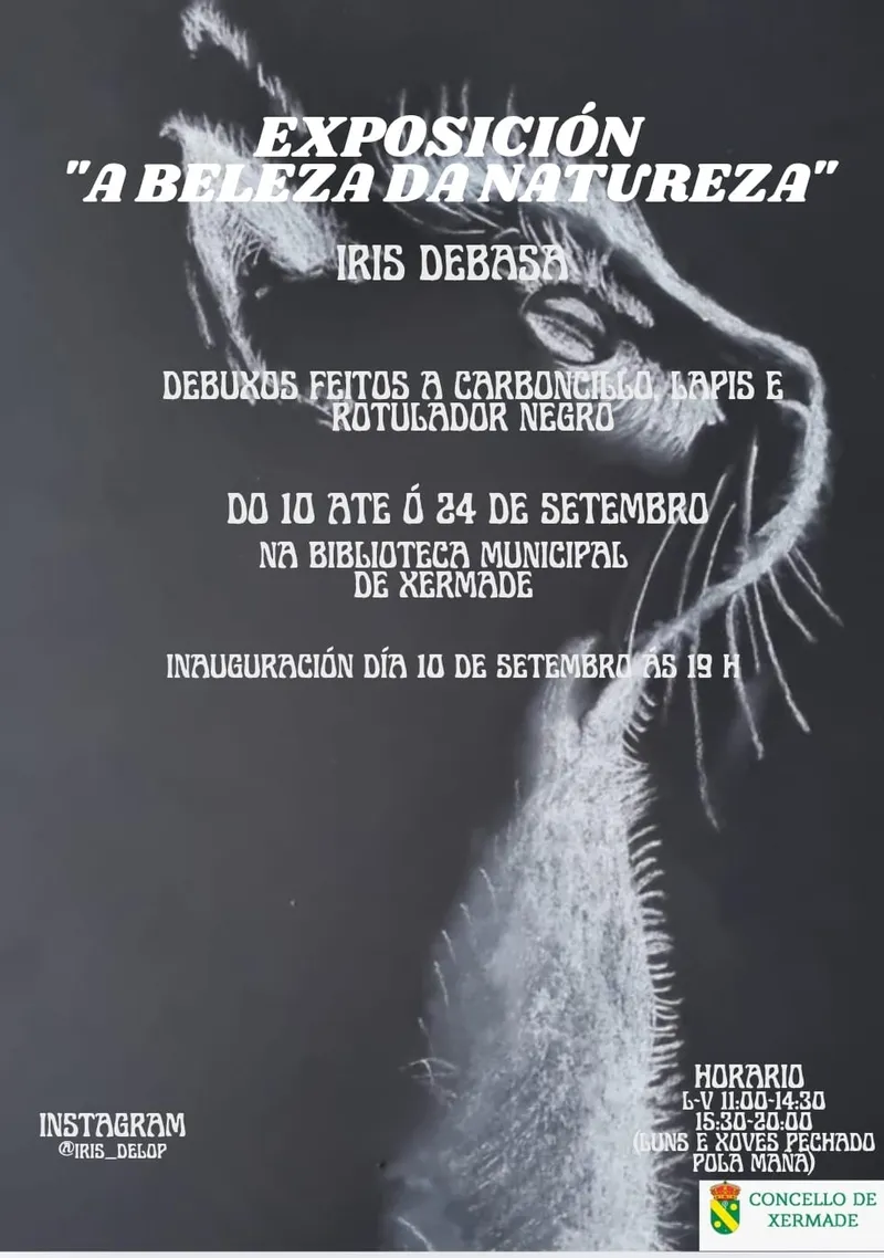 La Biblioteca de Xermade lanza un programa anual de actividades culturales y formativas