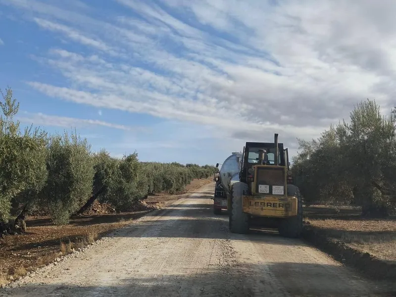 Baena acondiciona 35 kilómetros de caminos rurales para la campaña de aceituna