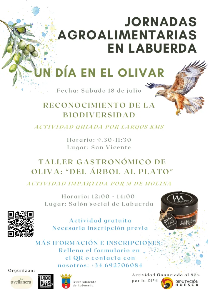 Descubre el mundo del olivar en Labuerda con un taller interpretativo y gastronómico