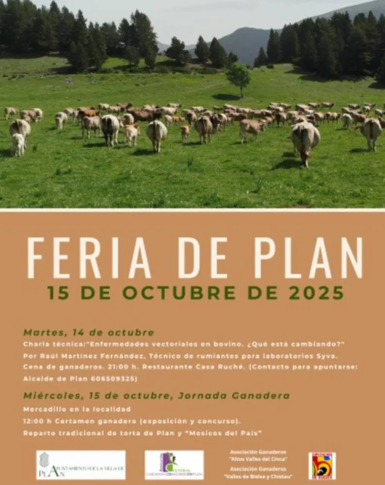 Plan Provincial impulsa la cultura, el deporte y las bibliotecas en 2025
