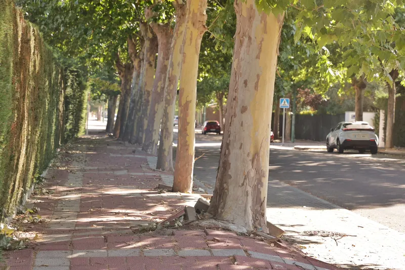 Valladolid destina más de 2 millones de euros a la reurbanización de la calle Atenas en el barrio Santa Ana