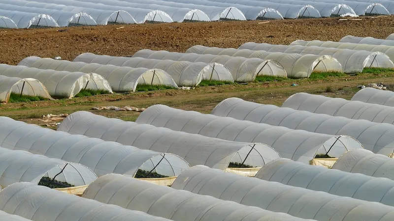 València adjudica la recogida y reciclaje de plásticos agrícolas para L'Horta