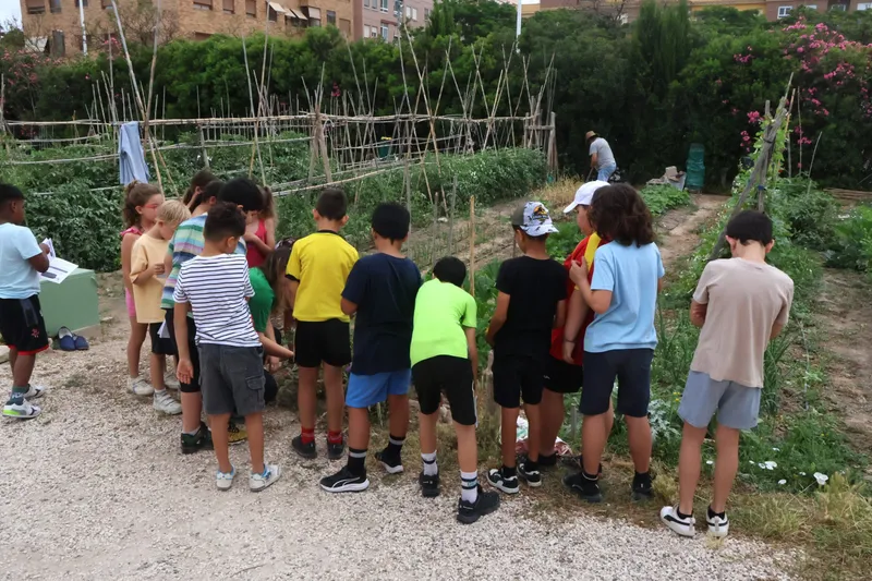 Escolares de Novelda aprenden sobre agricultura ecológica en los huertos municipales
