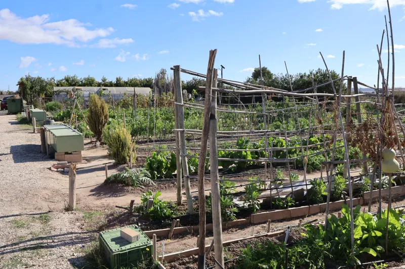 Novelda recibe 5.560 euros de la Diputación de Alicante para mejorar sus huertos ecológicos