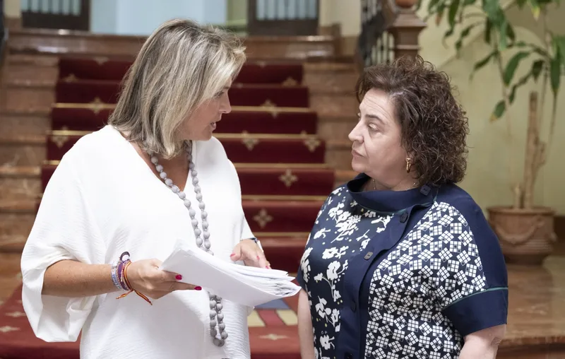 Diputación de Castellón: Teleasistencia y teleayuda protegieron a 469 usuarios durante el incendio