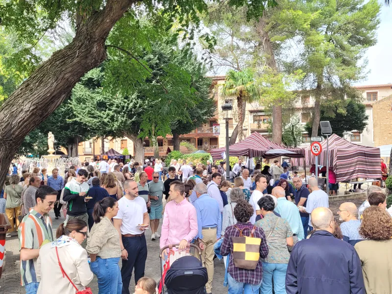 Daimiel celebra la XVIII Fiesta de la Vendimia con éxito a pesar de la amenaza de lluvia