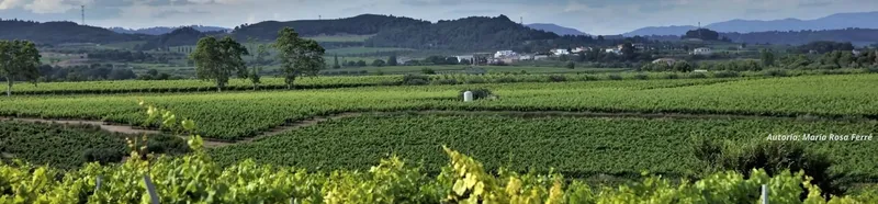 Abierta la inscripción para la caminata popular en Vilobí del Penedès