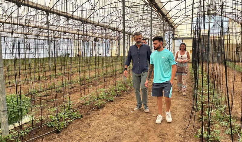 Junta de Andalucía destina 130 millones a jóvenes agricultores para impulsar el relevo generacional