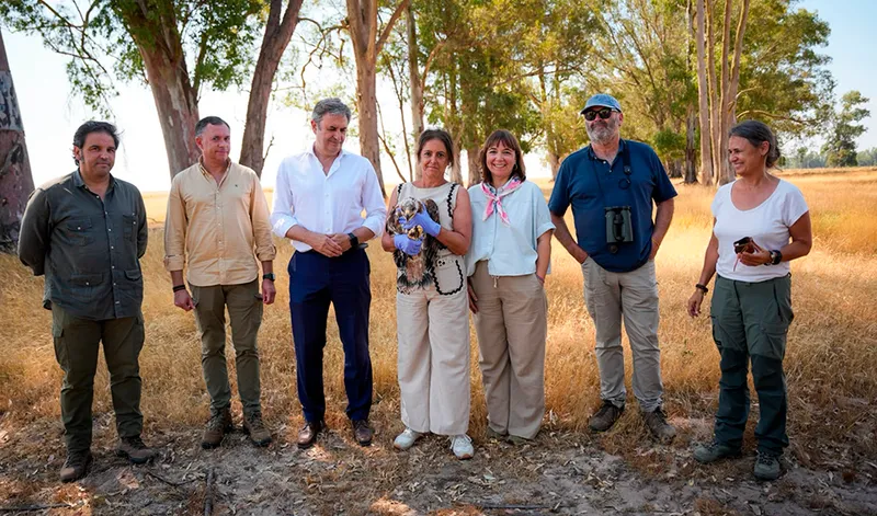 Junta y Fundación Endesa refuerzan la protección del águila imperial y el milano real en Doñana