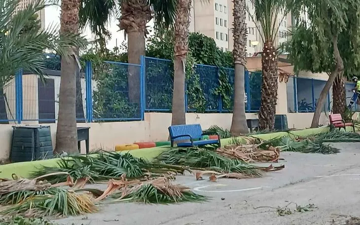 Benidorm mejora la jardinería de 13 colegios antes del inicio del curso escolar