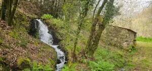 Mos impulsa la protección ambiental del Roteiro dos Muíños da Salgueira y Monte de Pereiras