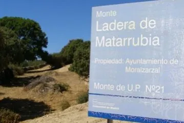Moralzarzal impulsa la producción local con su proyecto de huertos urbanos