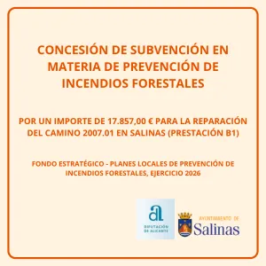 Salinas recibe 17.857 € de la Diputación para reparar el camino 2007.01