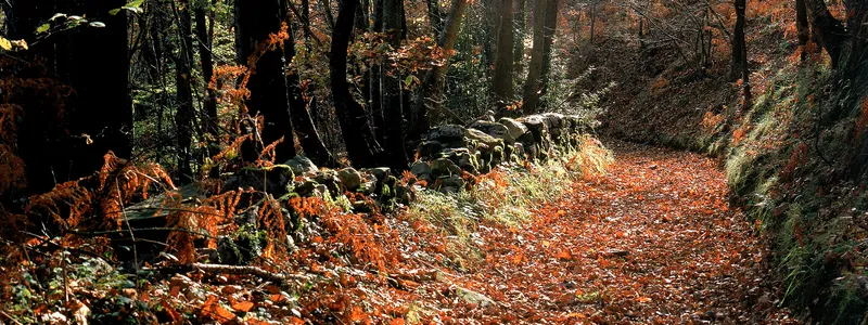Sobrescobio alerta sobre el riesgo de incendios forestales y llama a la autoprotección