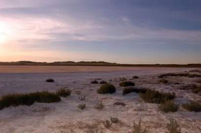 Las Saladas de Alcañiz: un fenómeno natural de cubetas salinas únicas