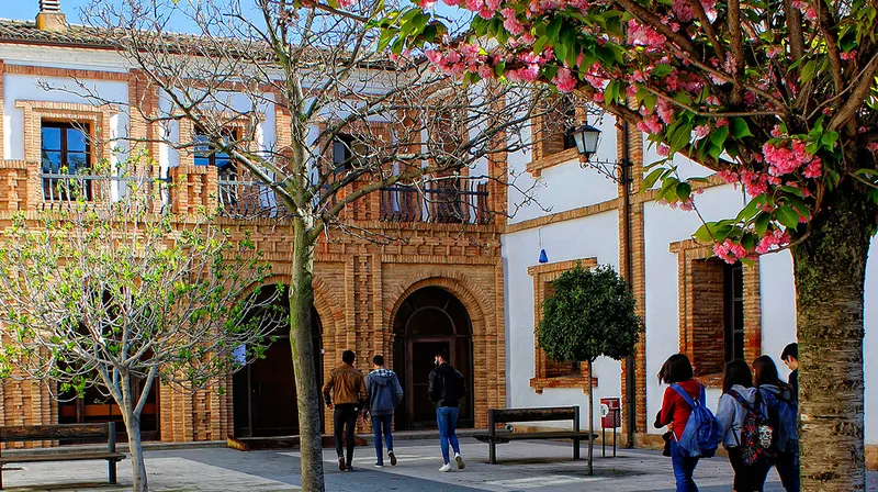 Corella consolida su oferta educativa con centros de Infantil, Secundaria y Diseño