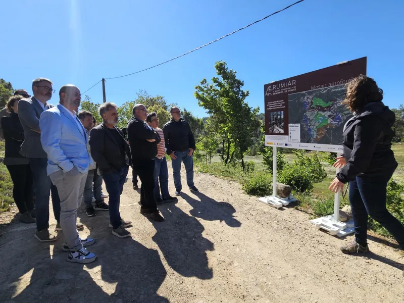El proyecto Rumiar consolida un mosaico agroforestal en las Muntanyes de Prades para prevenir incendios