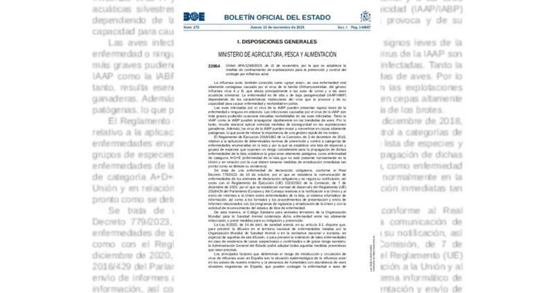 Aviso oficial: Confinamiento obligatorio de gallinas por orden ministerial