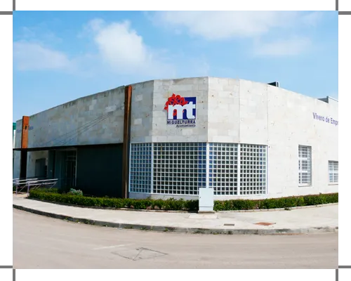 Miguelturra impulsa el emprendimiento con su Vivero de Empresas Amelgares