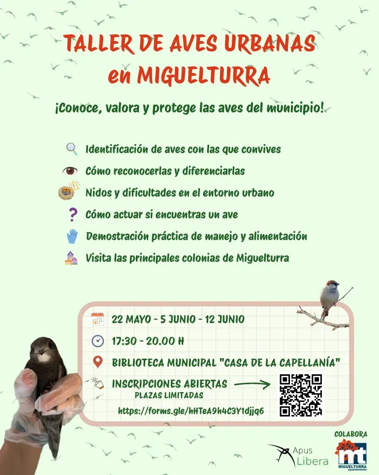 Miguelturra enseña a identificar y proteger las aves urbanas en un taller gratuito