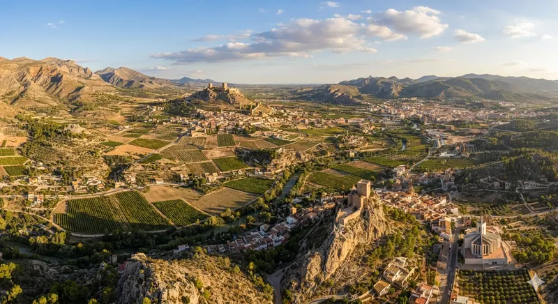 La Diputación de Alicante destina 9,1 millones a Alto y Medio Vinalopó para gasto corriente y consumo