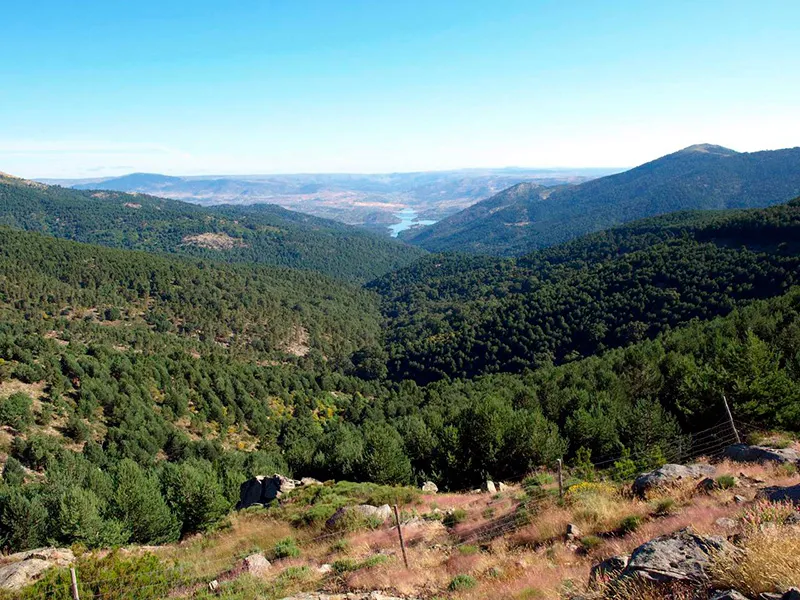Castilla y León impulsa el turismo y la cultura en zonas afectadas por incendios