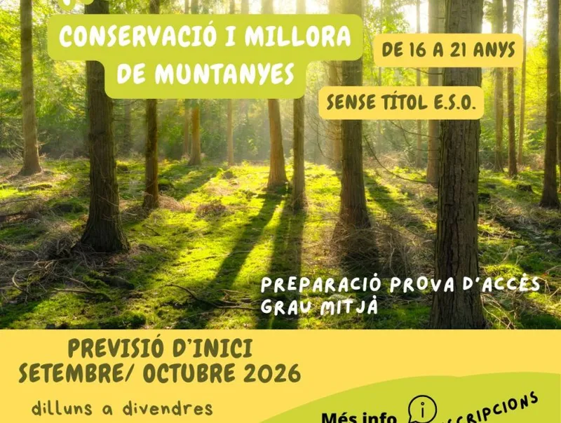 Borriol lanza un programa de formación para jóvenes sin la ESO en conservación de montañas
