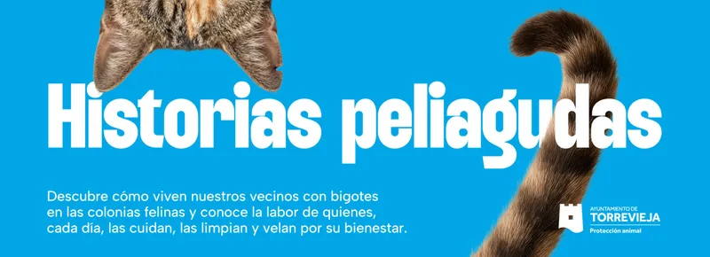 Torrevieja impulsa la gestión ética de sus colonias felinas con voluntarios