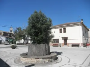 El albergue juvenil 'Ailanto' de Legaria abre sus puertas con 18 plazas