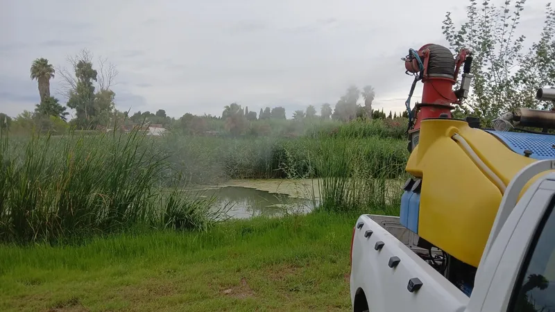 La Diputación de Castellón mantiene a raya la población de mosquitos este verano