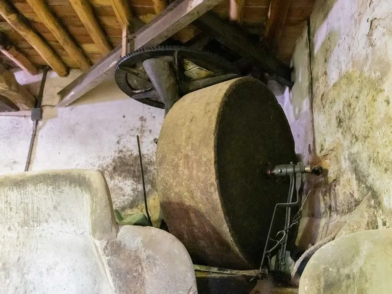 La Almazara de Colungo-Asque abre plazo para la molienda de aceitunas