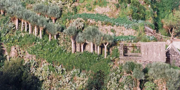 Franceses, Villa de Garafía: un caserío con historia y arquitectura singular