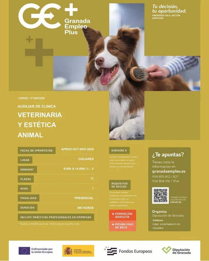 Ogíjares lanza un curso gratuito de auxiliar de clínica veterinaria y estética animal