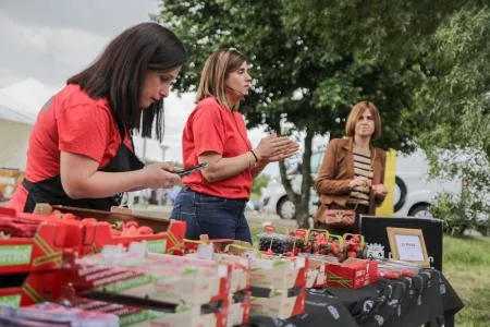 Diputación de Segovia destina 100.000 euros a 131 ayudas para el sector agroalimentario