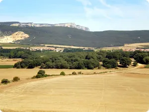 Oco: Un paraíso natural entre encinares y el río Ega