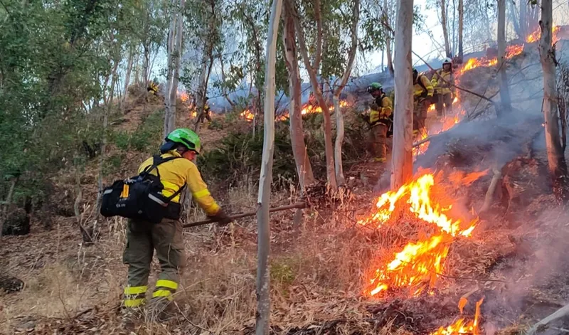 Más de cien efectivos luchan contra el incendio forestal de Niebla (Huelva)