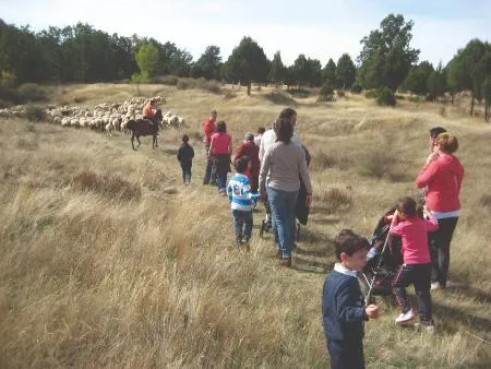 Prodestur Segovia impulsa el turismo provincial con nuevas campañas y presencia en ferias