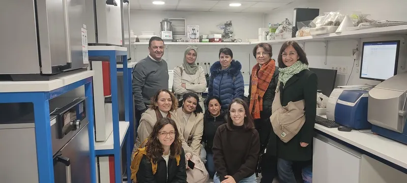 Concluye el proyecto europeo SUSTAvianFEED para una alimentación avícola más sostenible