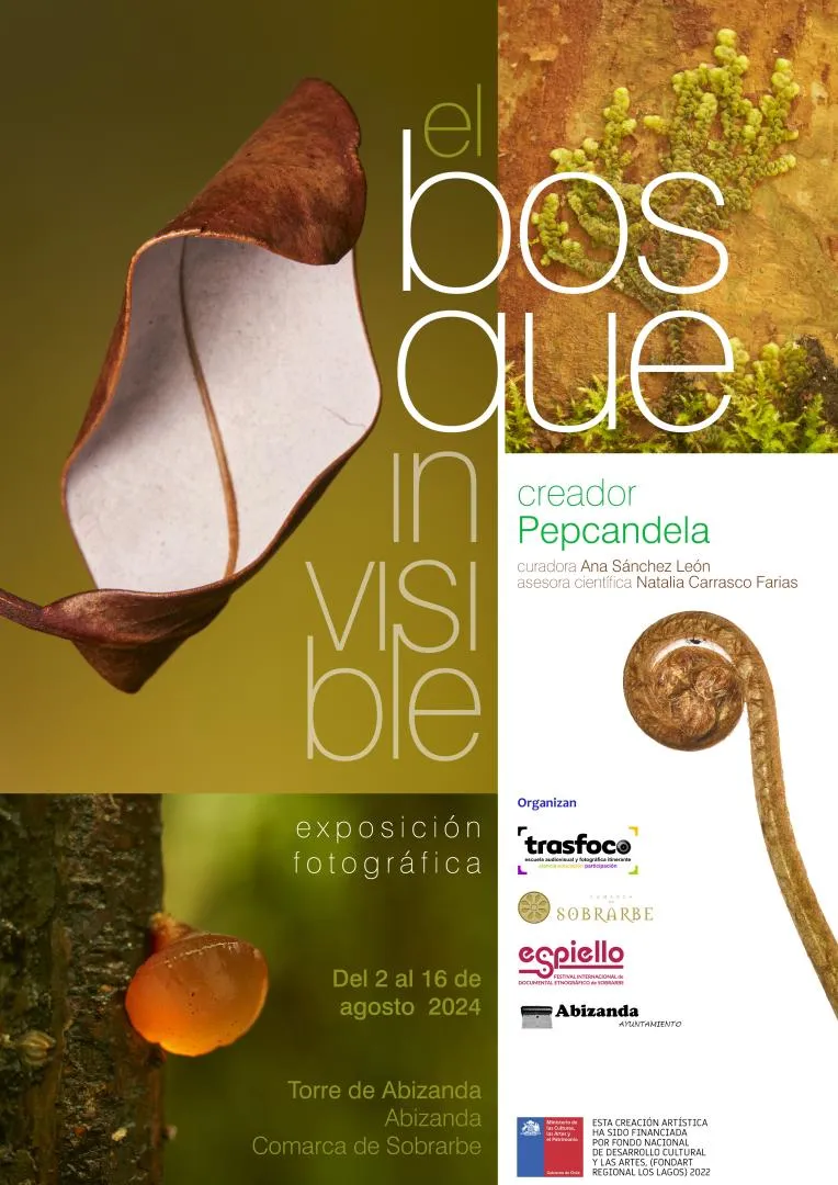 Abizanda celebra el verano con un taller de fotografía y una exposición sobre el bosque invisible