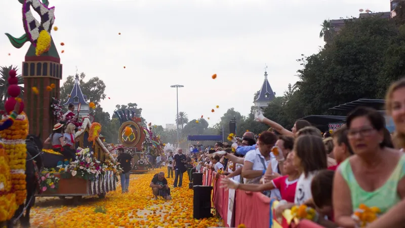 La web de la Batalla de Flores de València atrae a más de 19.000 visitantes globales