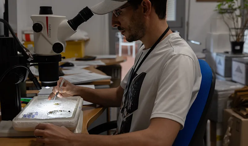 Andalucía refuerza la lucha contra el virus del Nilo con 400 agentes de Salud Pública